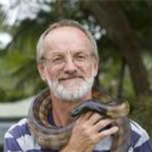 wallabypete
