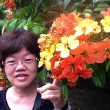 gini57