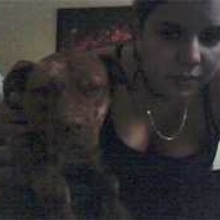kimme