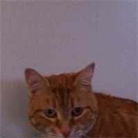 Donna1